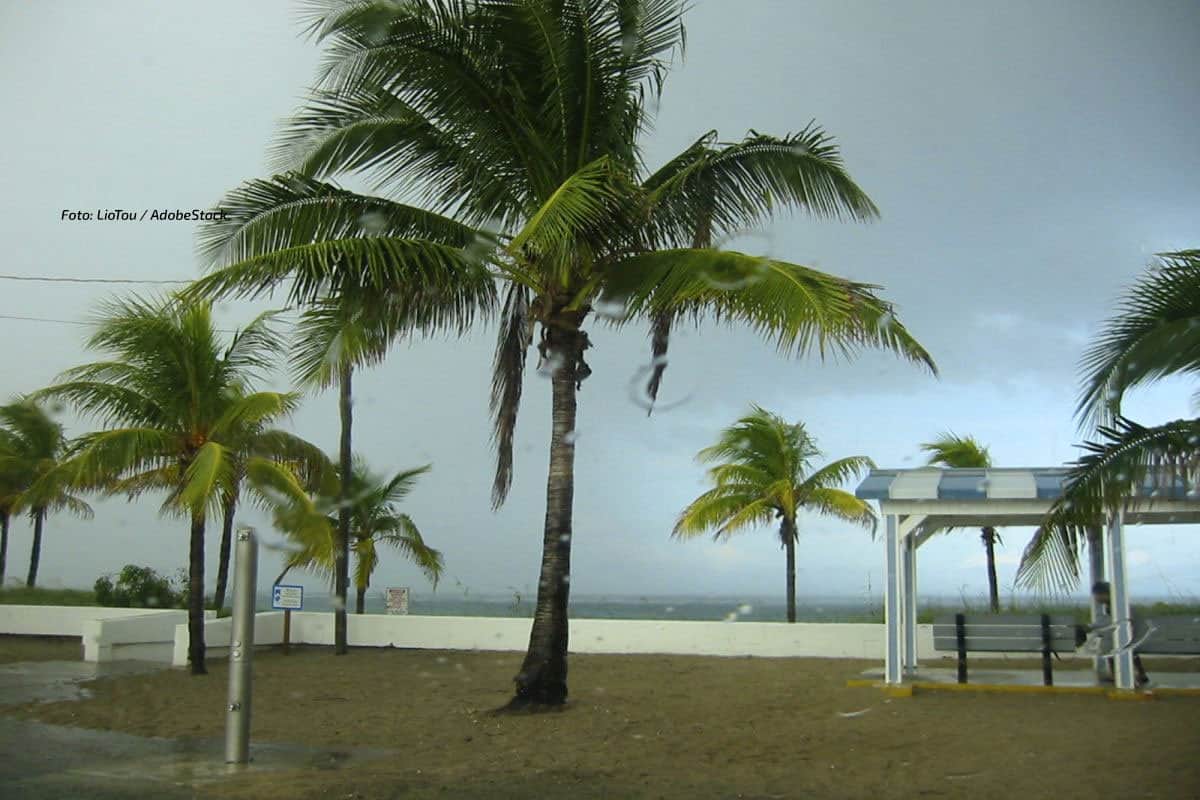 Hurrikan Simon vor Mexiko: Puerto Vallarta droht Sturmflut