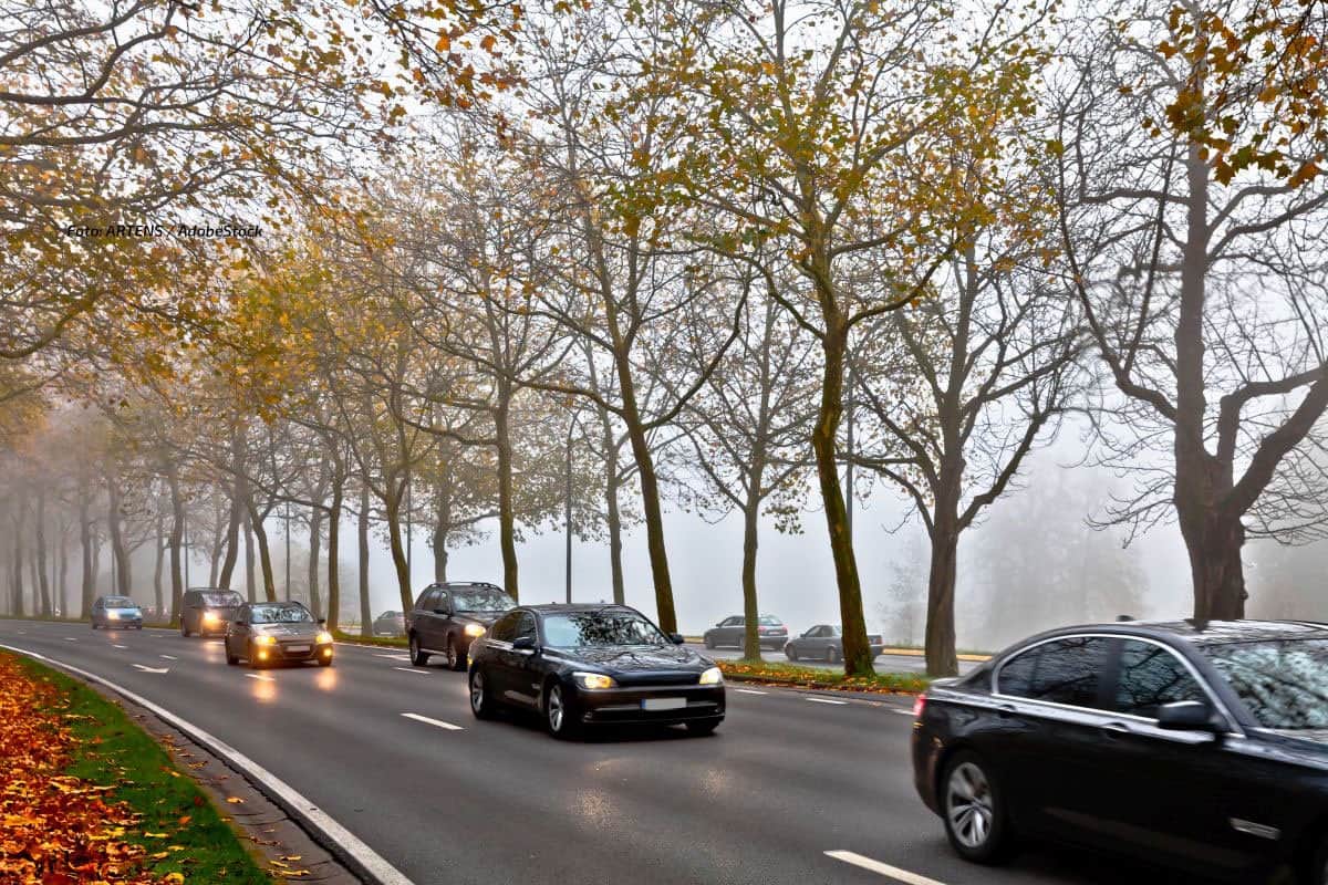 Dichter Nebel in Deutschland: Ab Montag wieder Unfallgefahr