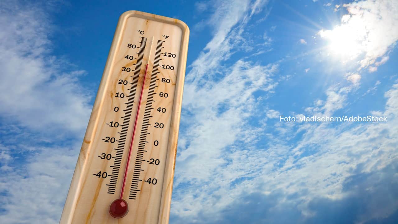 Hitzestress im Kopf: Warum Konzentration bei hohen Temperaturen nachlässt