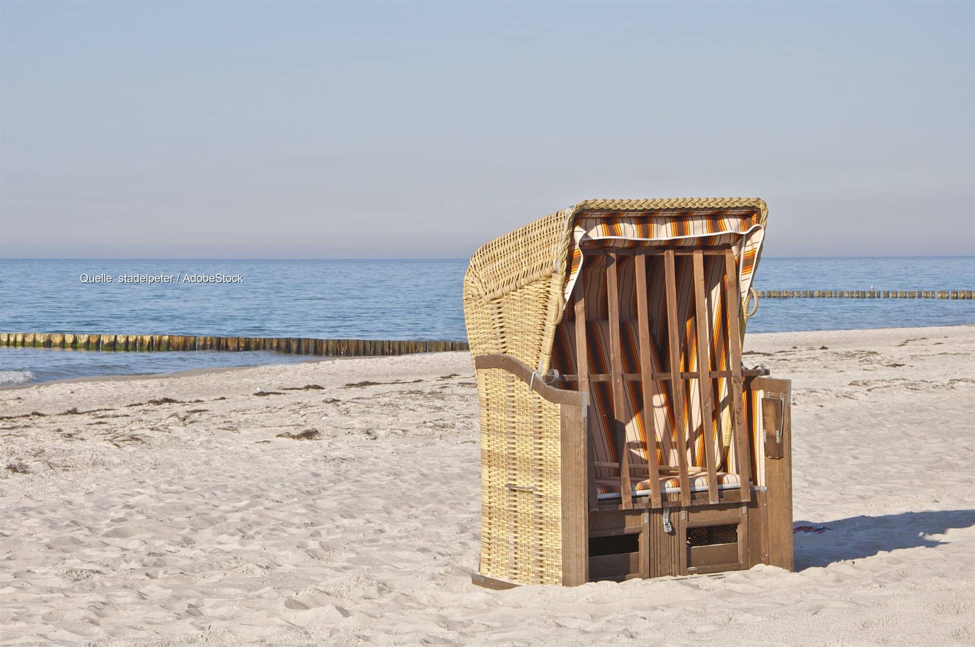 Vibrionen in der warmen Ostsee: zwei Todesfälle gemeldet