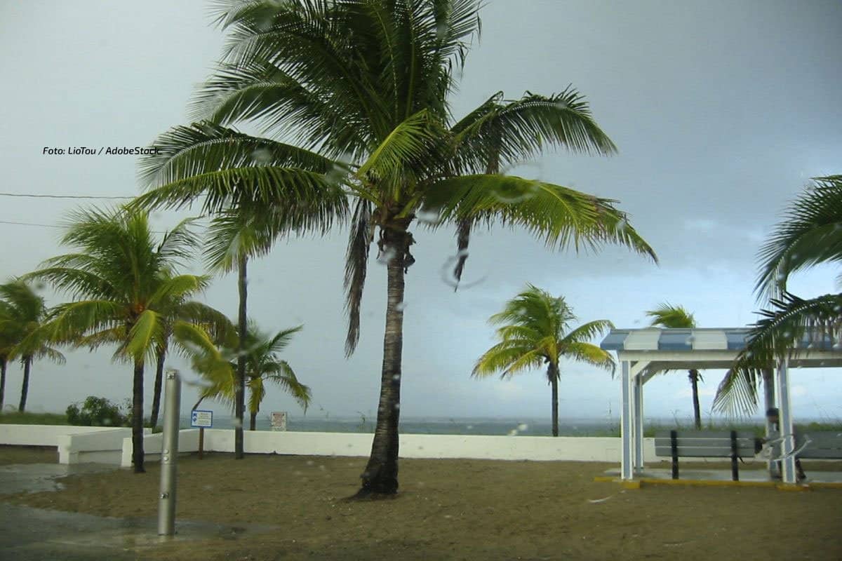 Hurrikan Simon vor Mexiko: Puerto Vallarta droht Sturmflut