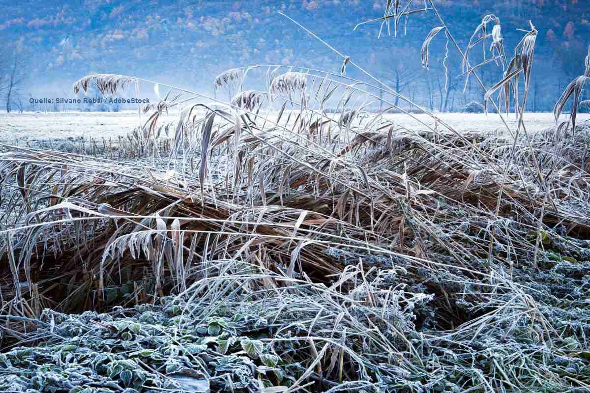 Kaltluft und Frost: Deutschlands Berge könnten weiß werden