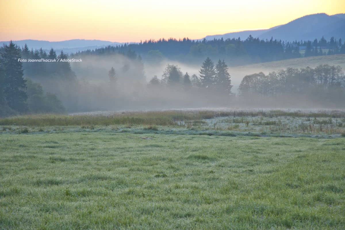 Feiertag mit viel Sonne: In den Frühstunden Nebel möglich!