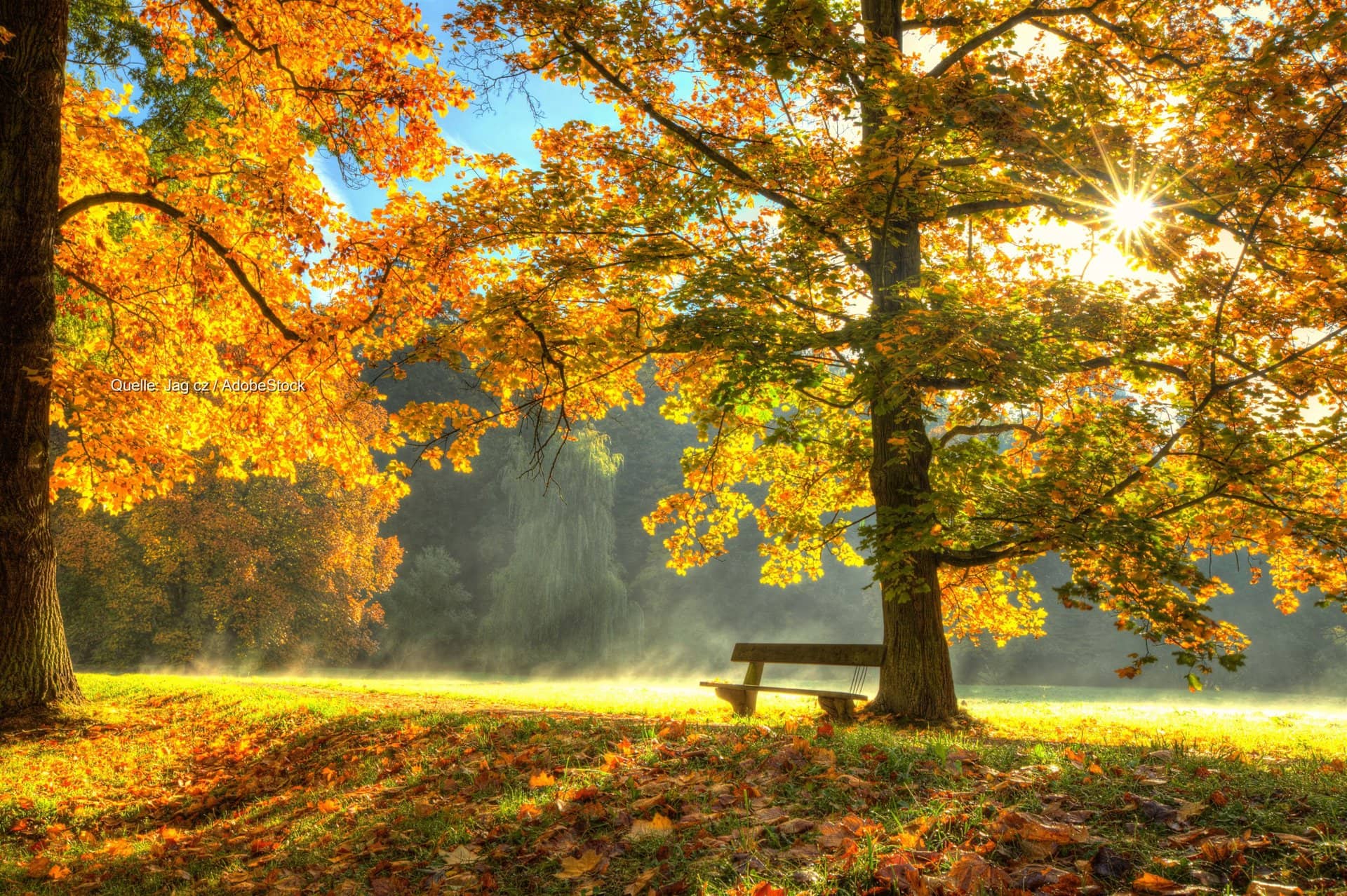 Herbstferien im Norden und Osten: Mild mit Nebel, danach kühler