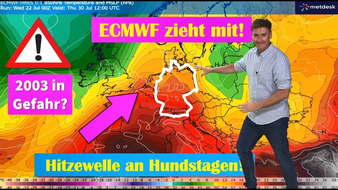 So eine Hitzewelle wäre extrem lebensgefährlich" Hundstage außer Rand und Band  Topwerte über 40°C