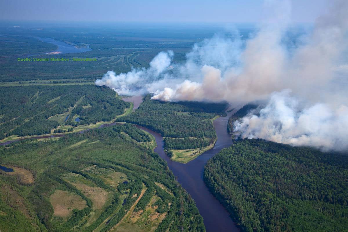 Waldbrandgefahr auf Höchststufe von Hessen bis Sachsen: Alarmstufe A und Grillverbote, kaum Regen in Sicht