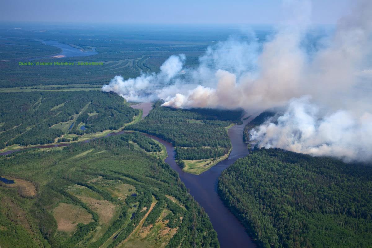 Waldbrandgefahr auf Höchststufe von Hessen bis Sachsen: Alarmstufe A und Grillverbote, kaum Regen in Sicht