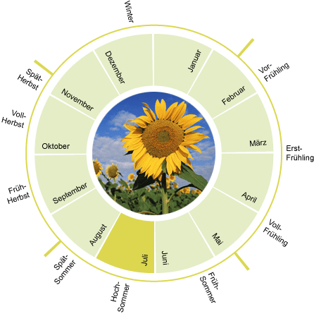 Phänologischer Kalender für Juli