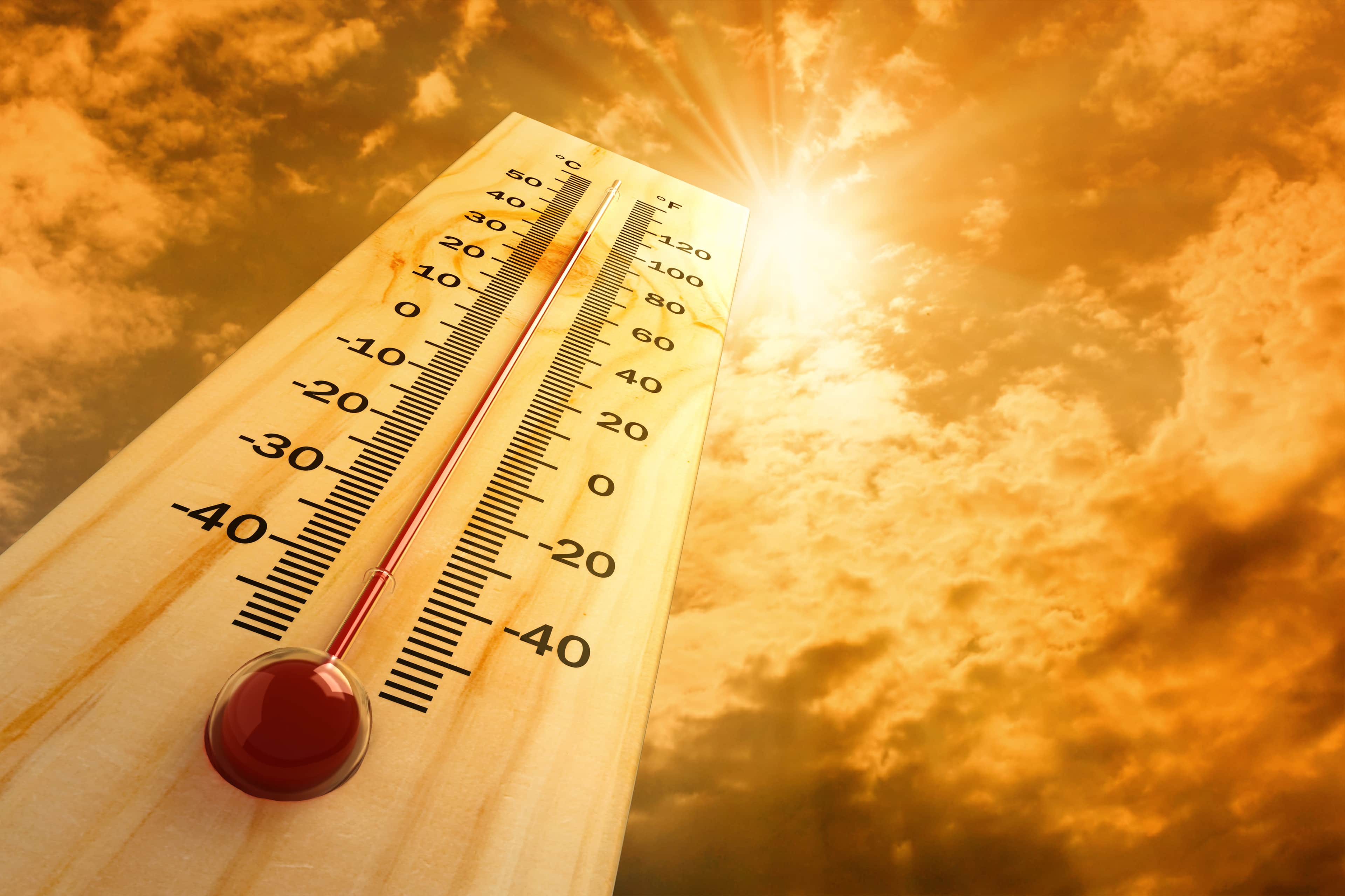 Wo es aktuell 50 Grad hat?